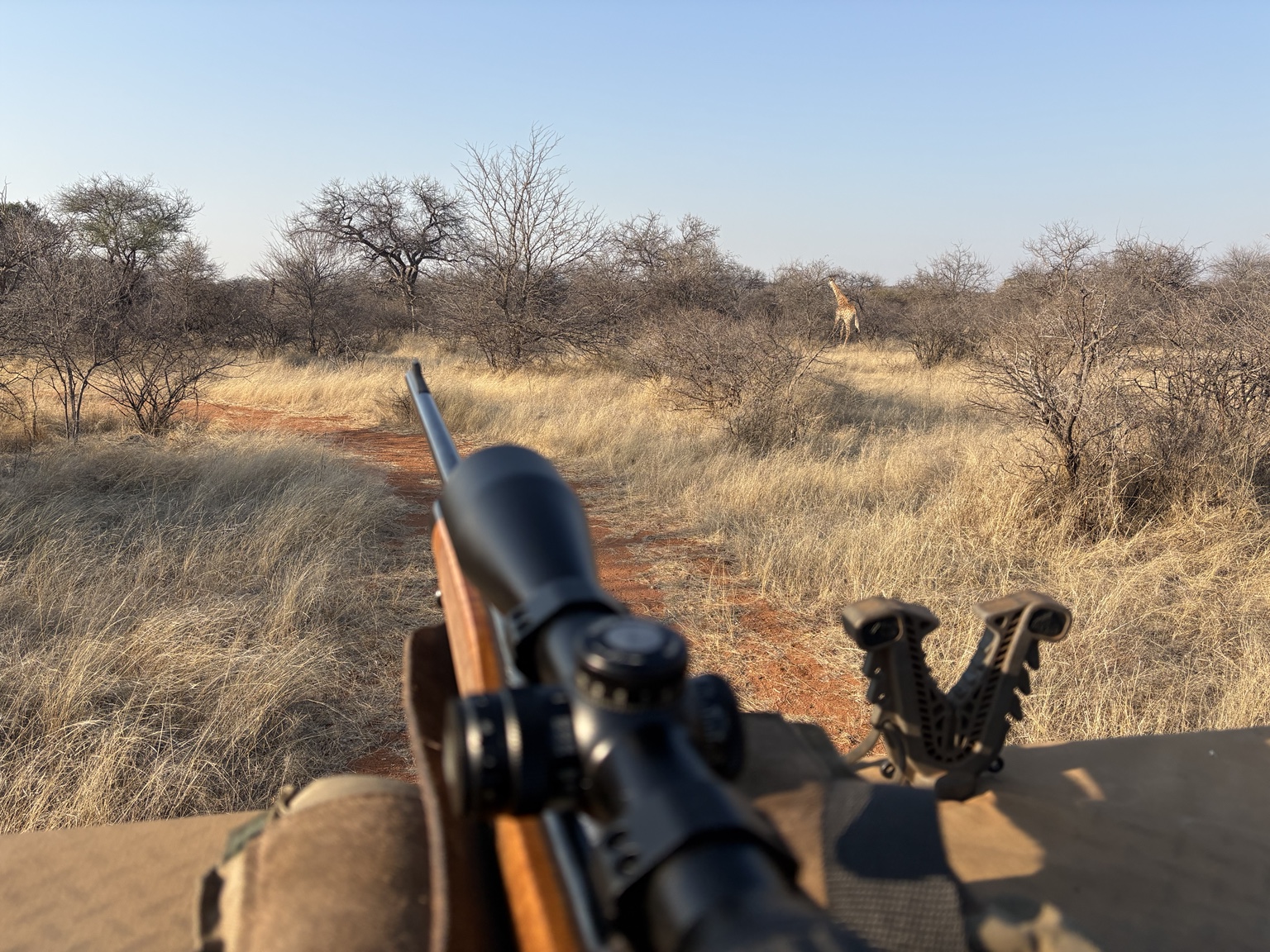 Rifle scope view of the bushveld landscape