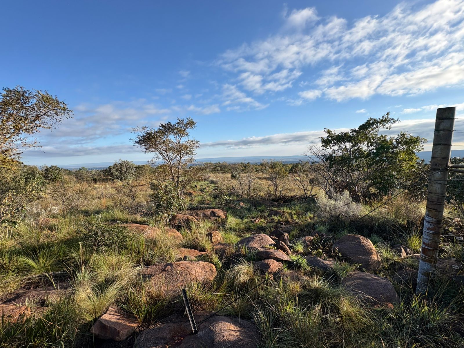 Waterberg bushveld landscape